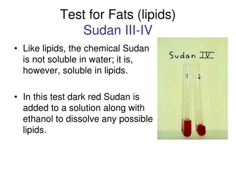 sudan 4 test for lipids|Sudan IV .